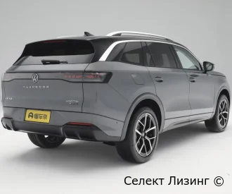Volkswagen Tavendor вид сзади